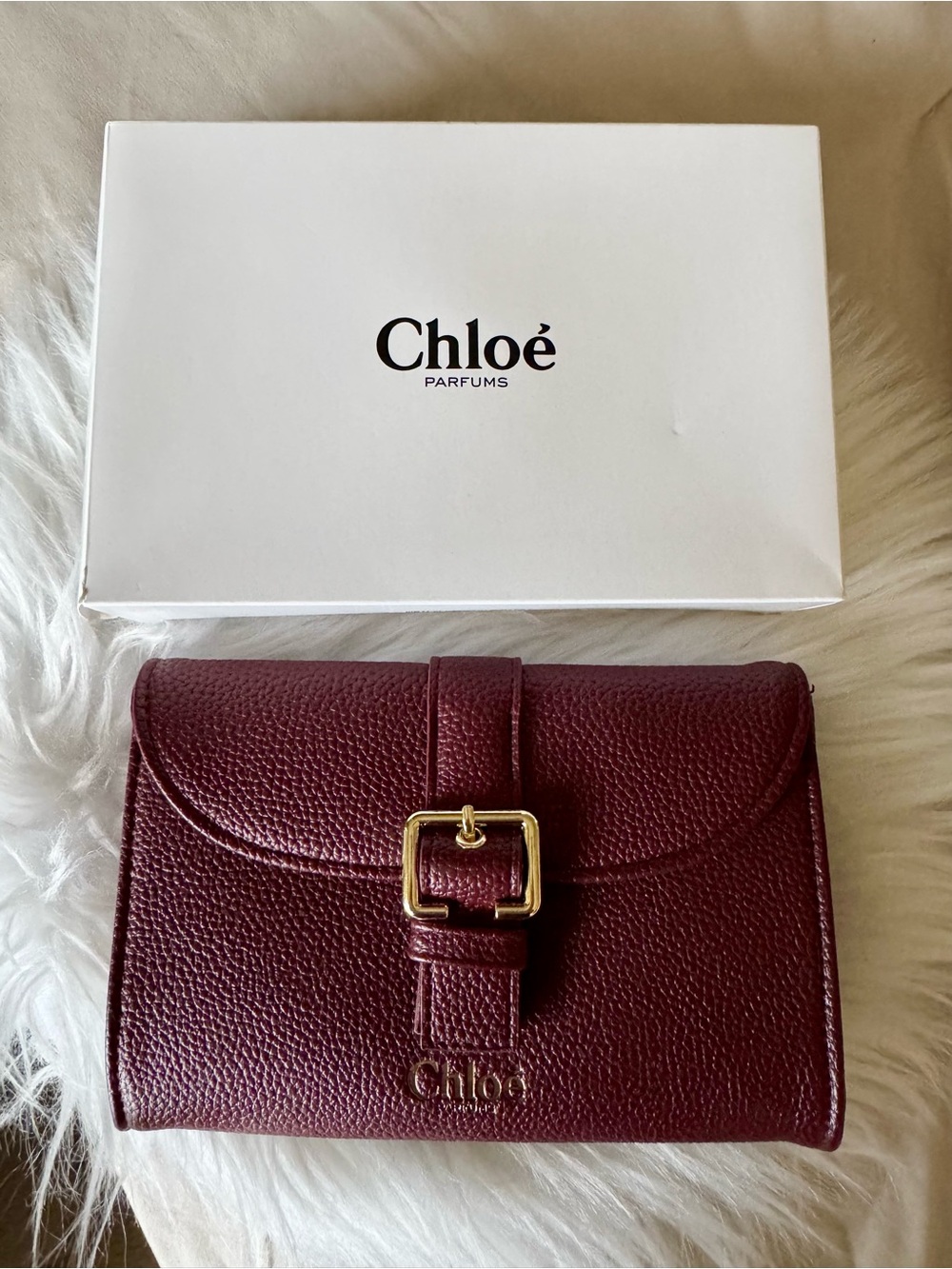 Chloe Burgundy Leather Buckle clutch